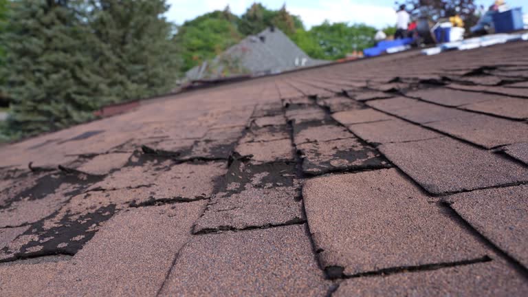 Best Rubber Roofing (EPDM, TPO)  in Georgetown, CA