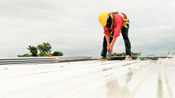 Best Roof Insulation Installation  in Georgetown, CA