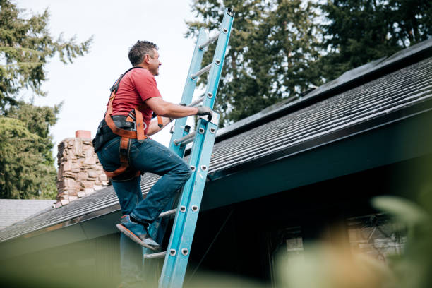 Best Roof Moss and Algae Removal  in Georgetown, CA